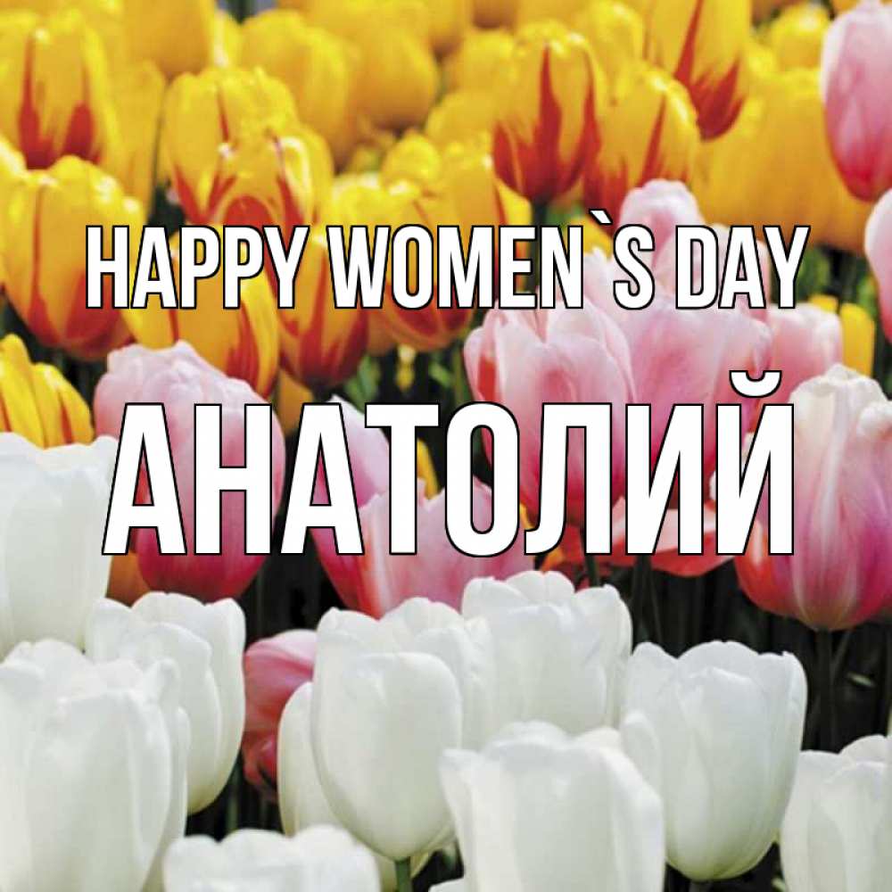 Greetings card с именем, Анатолий happy women`s day разноцветные цветы Greetings with text for free download 